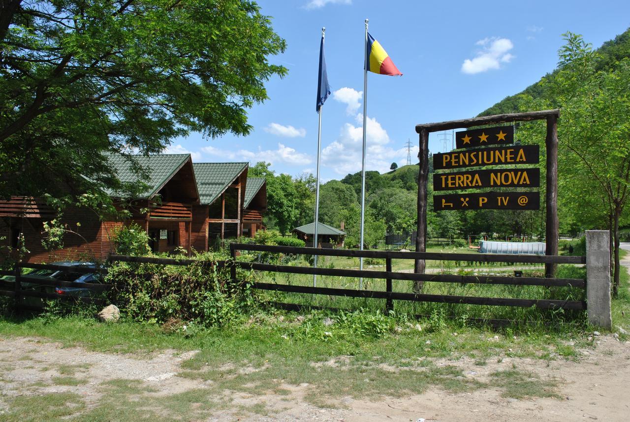 Hotel Pension Terra Nova Brezoi Zewnętrze zdjęcie