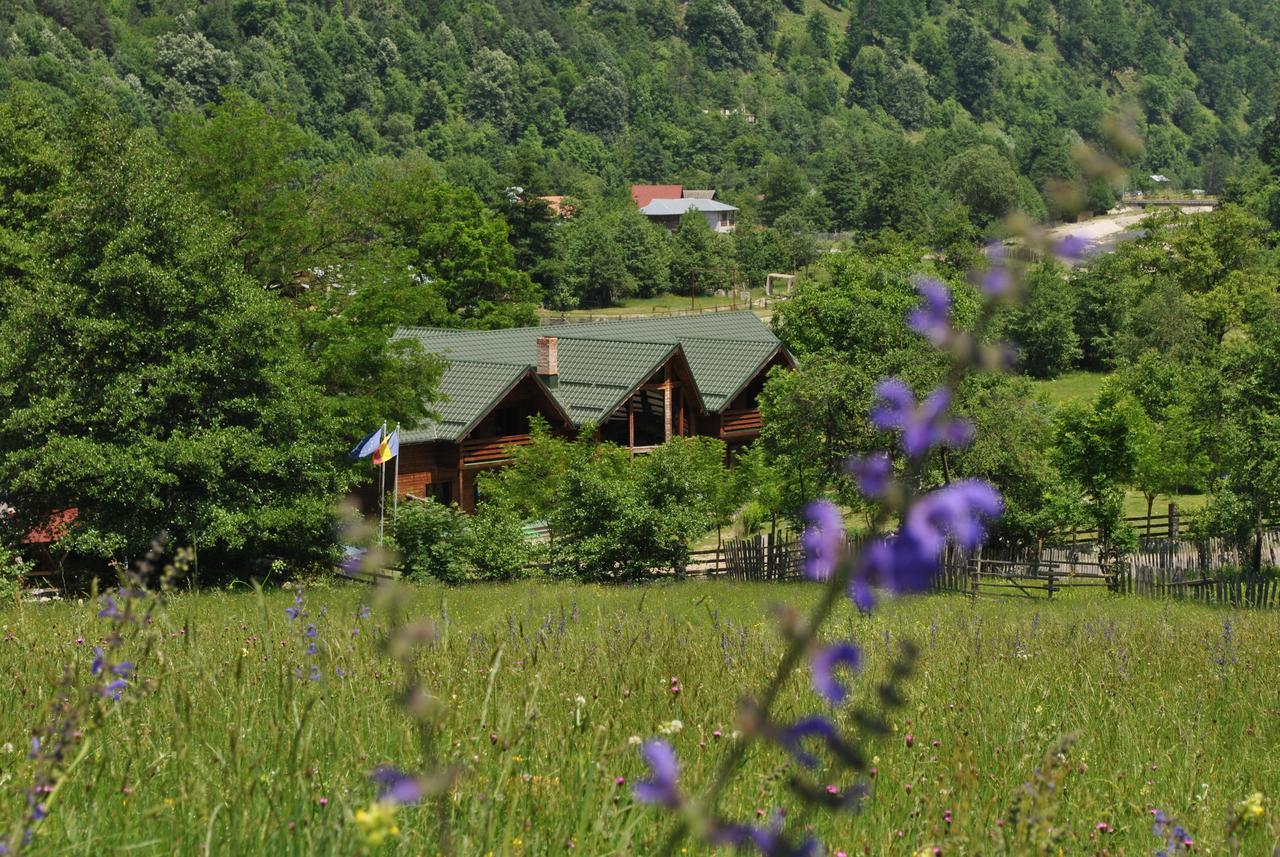 Hotel Pension Terra Nova Brezoi Zewnętrze zdjęcie