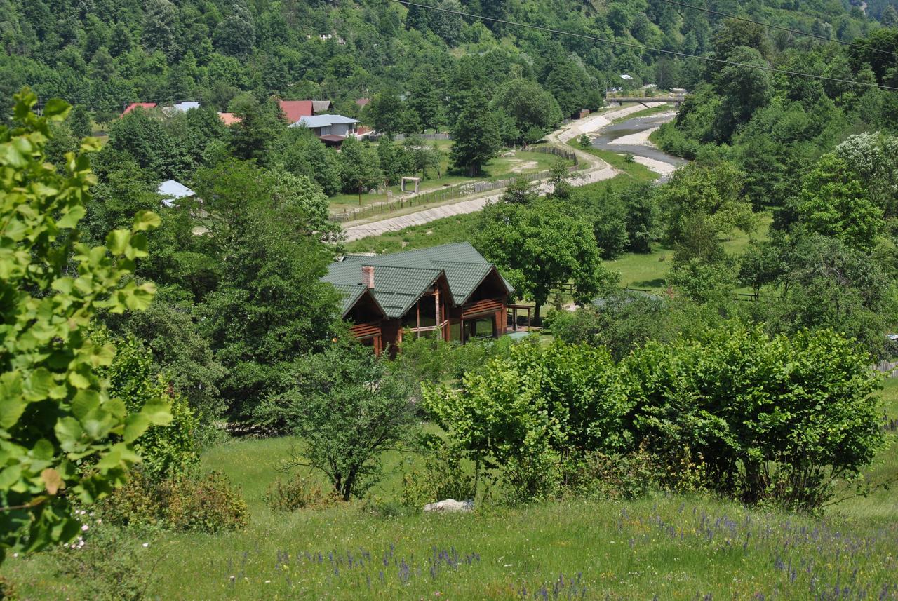 Hotel Pension Terra Nova Brezoi Zewnętrze zdjęcie