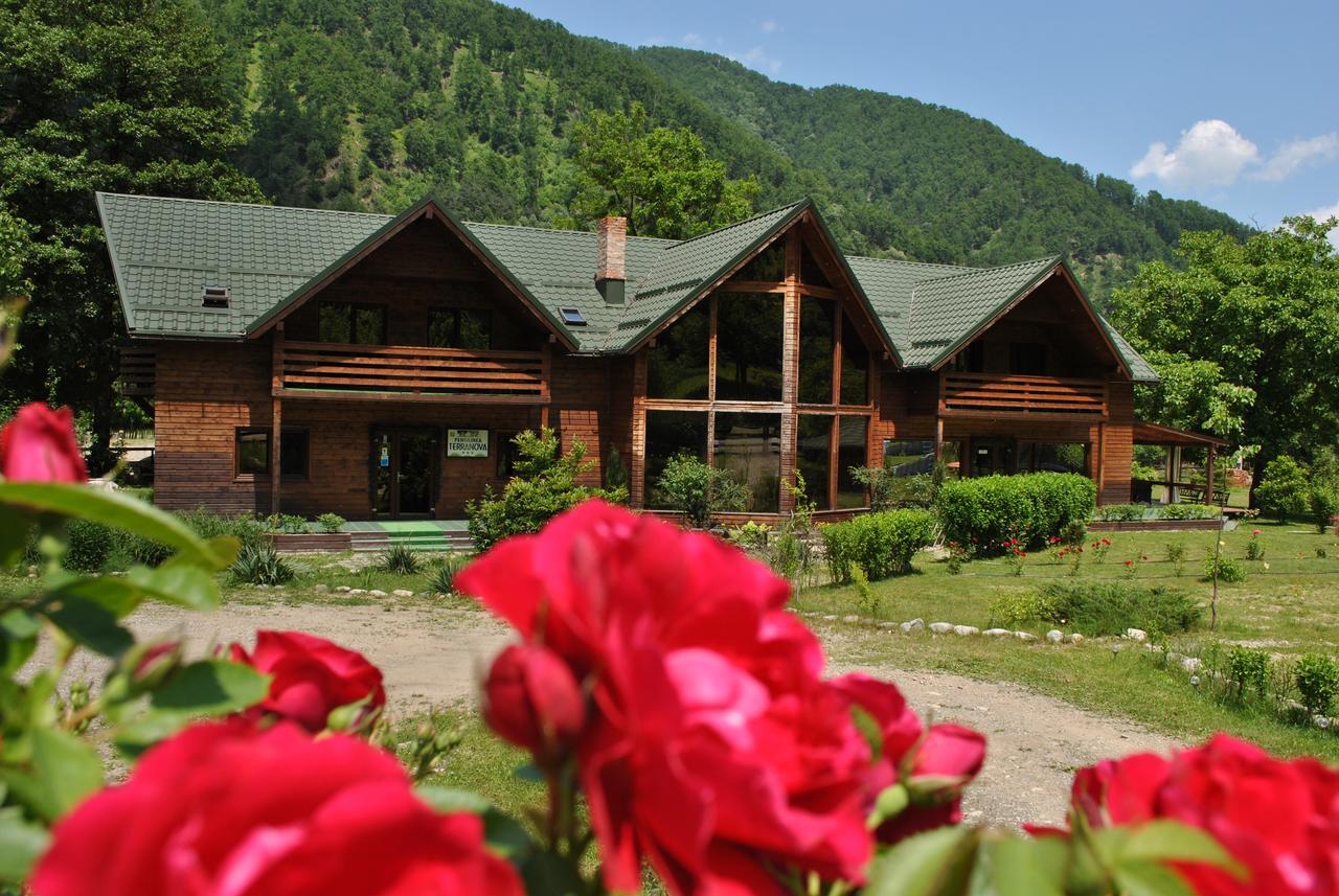 Hotel Pension Terra Nova Brezoi Zewnętrze zdjęcie